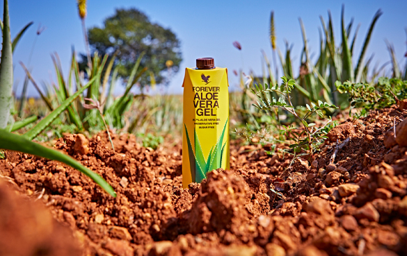 Forever Aloe Vera Gel inneholder hele 99,7 % av vår egen førsteklasses Aloe vera og vitamin C.